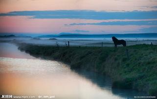 清晨的图片真实的,唤醒自然的宁静画卷