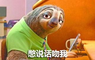 树懒表情包,懒散中的萌态与智慧