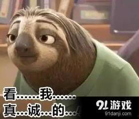 树懒表情包,懒散中的萌态与智慧