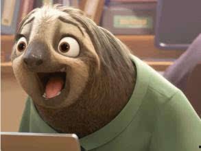 树懒表情包,懒散中的萌态与智慧