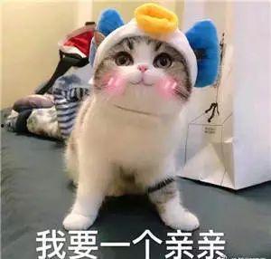 muma表情包,网络时代的潮流符号与社交新宠