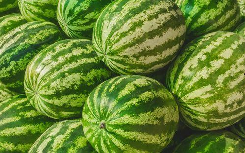 娱乐吃瓜渠道哪里找,轻松获取热门八卦资讯的秘籍