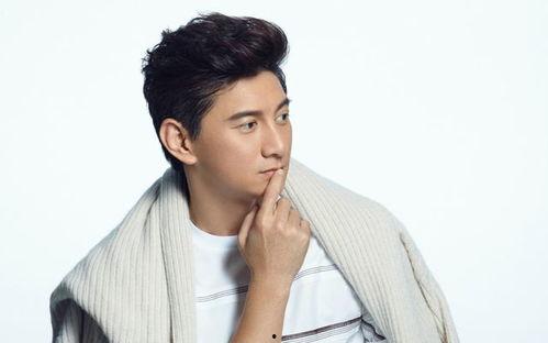 吴奇隆娱乐圈隐形富豪,娱乐圈中的隐形富豪传奇