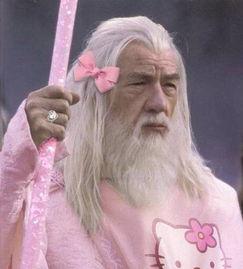 郝邵文图片搞笑图片