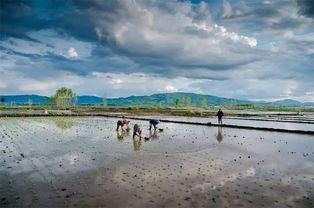 佳木斯网红大飞,从街头艺人到网络红人的蜕变之路